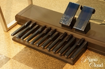 STAGEA ELS-02C